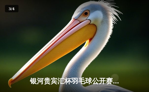 银河贵宾汇杯羽毛球公开赛：林丹逆转安赛龙夺冠，三局鏖战引爆全场 - 3